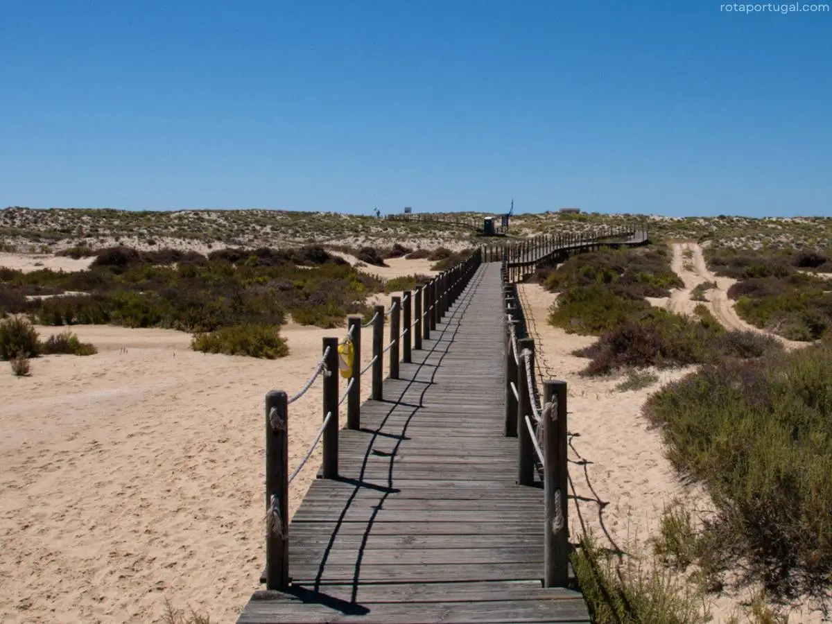 Armona Island Boardwalk