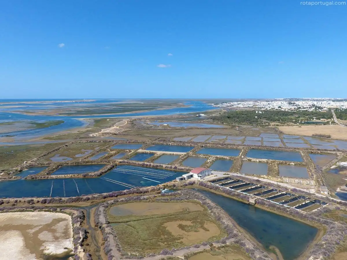 Ria Formosa from the Air